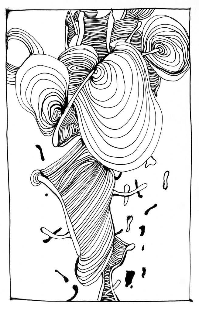 an Astner - PELOPSY - abstract drawings