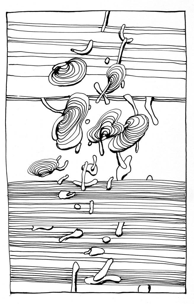 an Astner - PELOPSY - abstract drawings